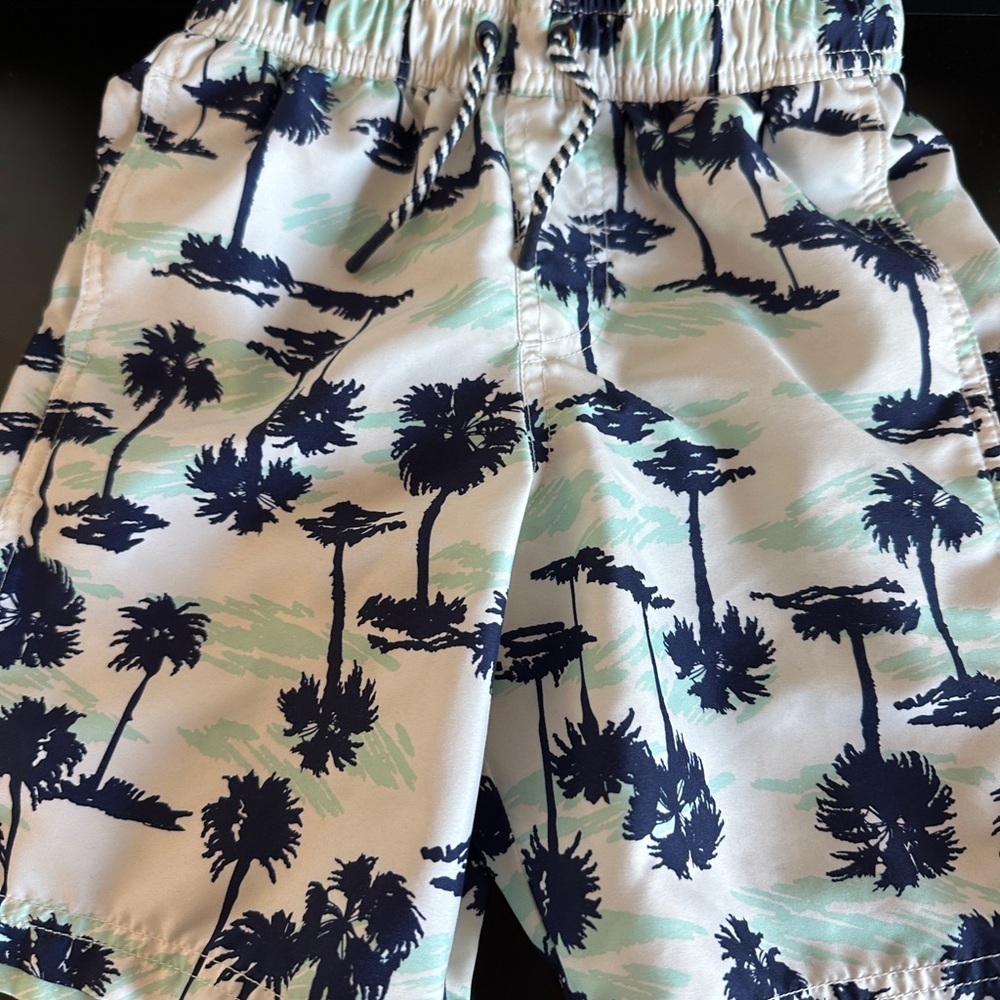 Tropical Palm Tree Kids Trunks